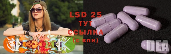 ПСИЛОЦИБИНОВЫЕ ГРИБЫ Богородицк