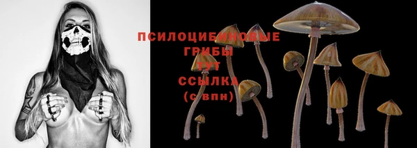 ПСИЛОЦИБИНОВЫЕ ГРИБЫ Богородицк