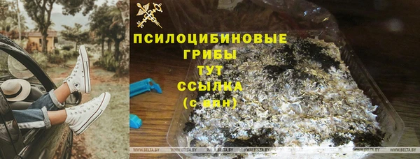 марки nbome Богданович