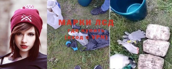 ПСИЛОЦИБИНОВЫЕ ГРИБЫ Богородицк
