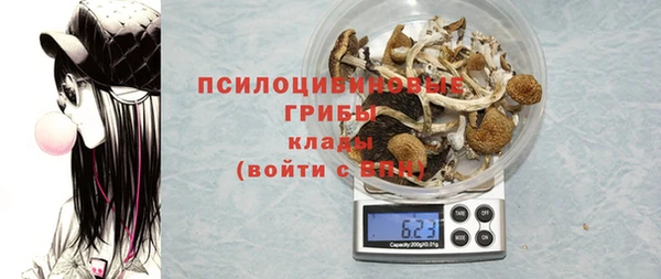 ПСИЛОЦИБИНОВЫЕ ГРИБЫ Богородицк