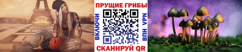 Галлюциногенные грибы мицелий  Мариинский Посад 